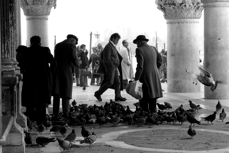 Piccioni in piazza San Marco