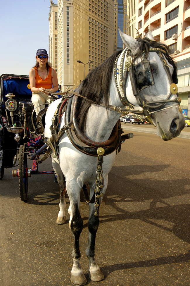 Cairo